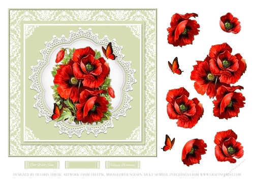 Beautiful Poppies N Butterflies 