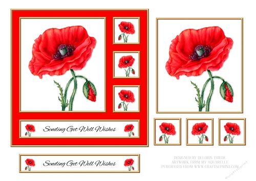 Lovely Poppies - Get Well (Red)