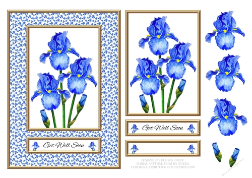 Lovely Watercolor Irises Get Well (Card Two)