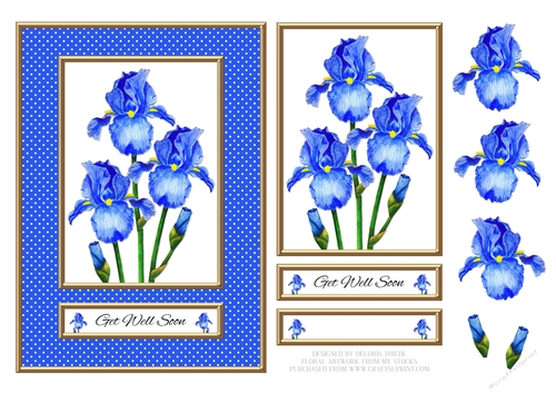 Lovely Watercolor Irises Get Well (Card One)