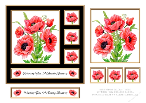 Lovely Poppies - Get Well 