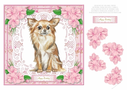 Cute Chihuahua Birthday - Card One