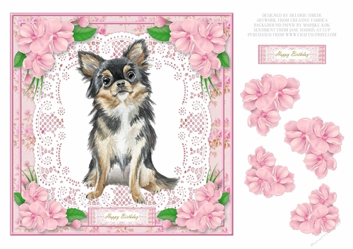 Cute Chihuahua Birthday - Card Two
