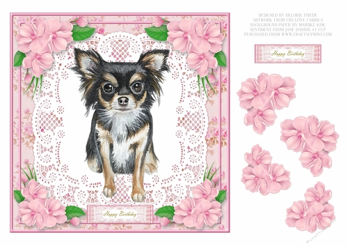Cute Chihuahua Birthday - Card Three