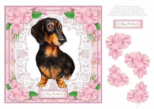 Cute Dachshund Birthday - Card One
