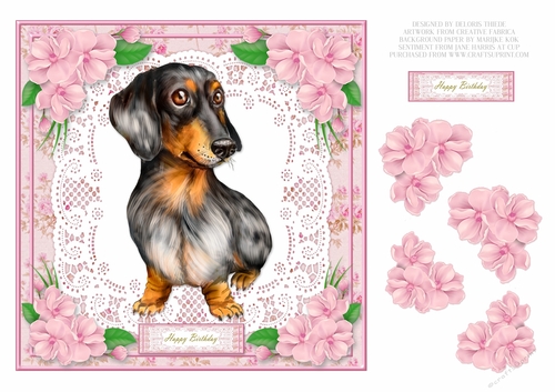 Cute Dachshund Birthday - Card Two