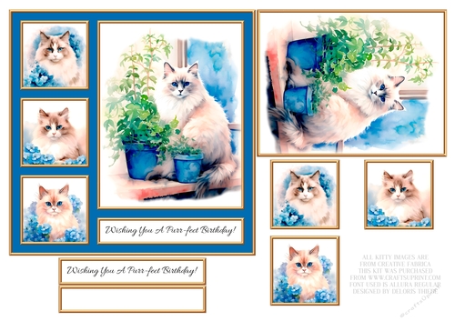 Wishing You A Purr-fect Birthday - Blue