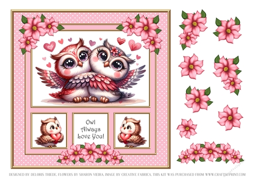 Owl Always Love You