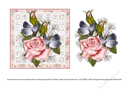 Lovely rose bouquet on vintage lace background