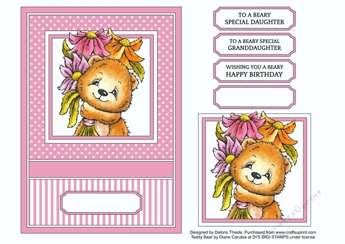 To A Beary Special Granddaughter or Daughter or Birthday