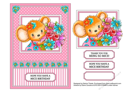Hope You Have A Mice Birthday