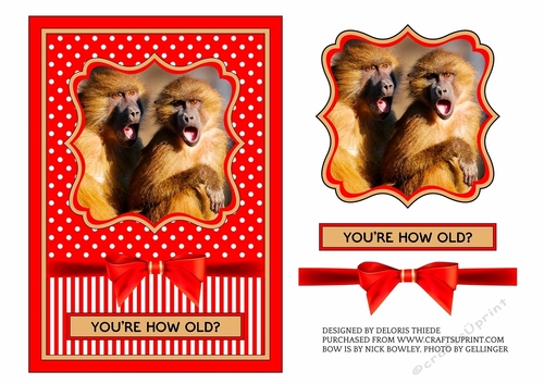 Monkeys - Youre How Old?  Funny Birthday Topper
