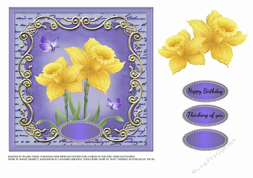 Lovely Spring Daffodils