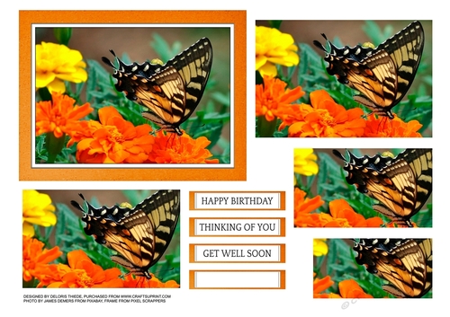 Beautiful butterfly pyramid topper