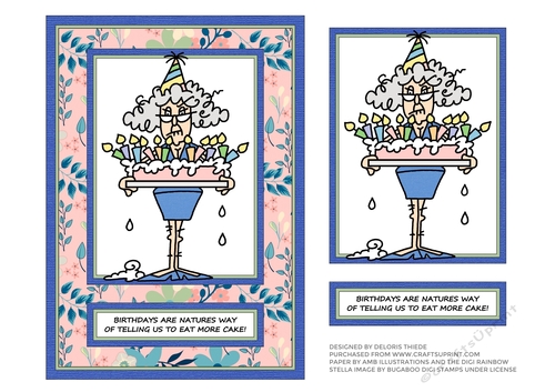 Stella - Eat More Cake (Pink, Green, Blue)