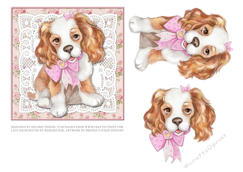 Cute Puppy On Vintage Lace (Pink) 