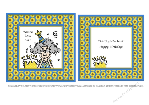 Stella - Youre how old?  (Sunflower print topper plus insert)