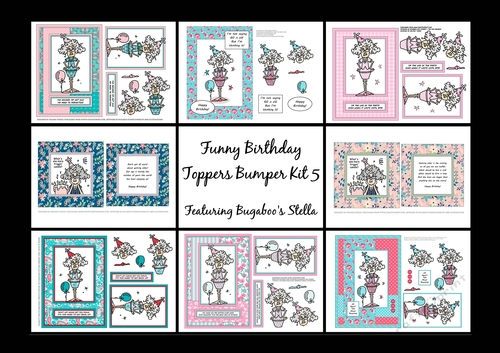 Stella - Funny Birthday Bumper Kit 5