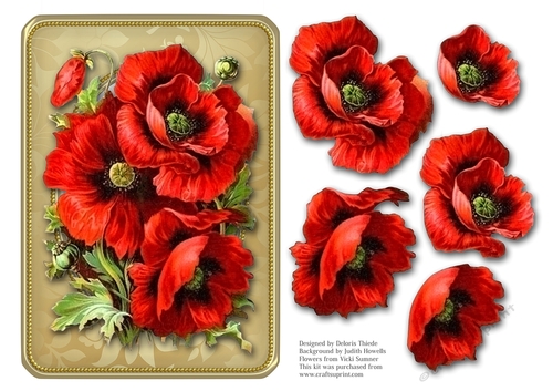Lovely Red Poppies 