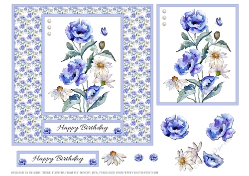 Lovely blue poppies and white daisies