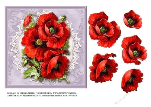 Lovely red poppies on vintage lace doily (purple)