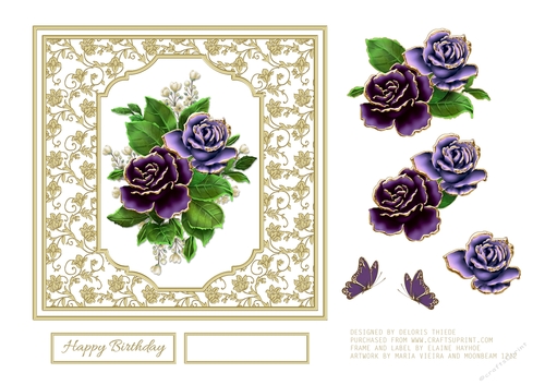 Lovely lilac and purple roses 