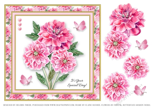Lovely Pink Dahlias