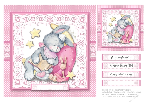 A New Arrival - Baby Girl Topper Plus Gift Tag