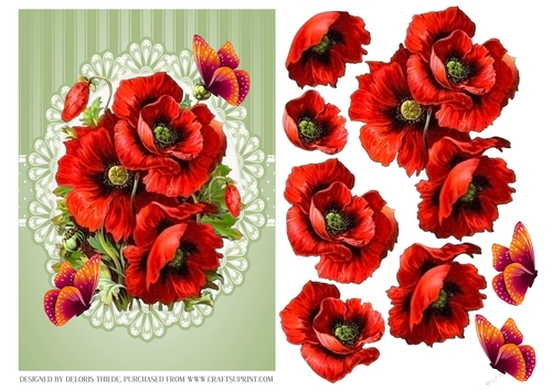 Lovely Red Poppies And Butterflies