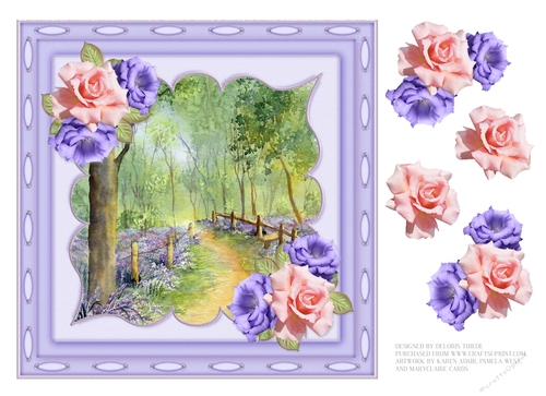 A Walk In Bluebell Woods 