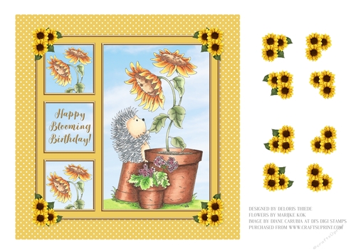 Cute Hedgehog Birthday Topper - Card Four