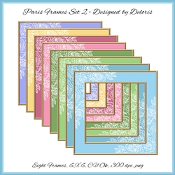 Lovely Delicate White Roses Frames Set 2 (Paris Colors)