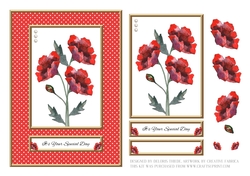 Red Poppies In A Polka Dot Frame