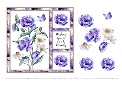 Poppies N Daisies Get Well Card Six