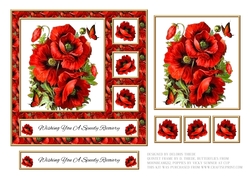Wishing You A Speedy Recovery Poppies Topper - Card One