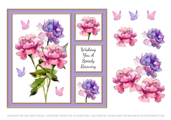 Wishing You A Speedy Recovery - Card Two