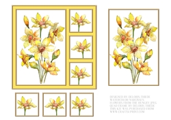 Lovely Watercolor Narcissus Card Six