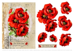 Lovely Poppies Get Well Soon Topper