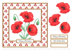 Lovely Wild Poppies Birthday Topper