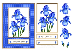 Lovely Watercolor Irises Get Well (Card One)
