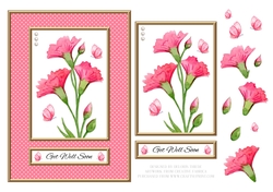 Lovely Carnations N Butterflies - Get Well Soon