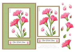 Lovely Carnations N Butterflies - Get Well Soon