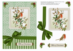 Robin In Winter Card Topper