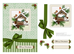 Lovely Robins In Their Birdhouse Winter Scene Topper