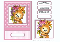 To A Beary Special Granddaughter or Daughter or Birthday