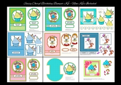 Sassy Cheryl Birthday Bumper Kit With 9 Kits Included