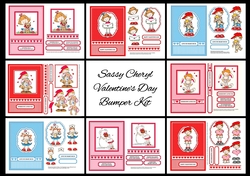 Sassy Cheryl Valentines Day Bumper Kit (8 kits)