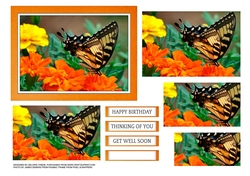 Beautiful butterfly pyramid topper