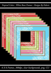 White Roses Frames (Tropical Colors Palette)