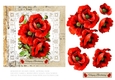 Lovely Poppies Birthday Topper